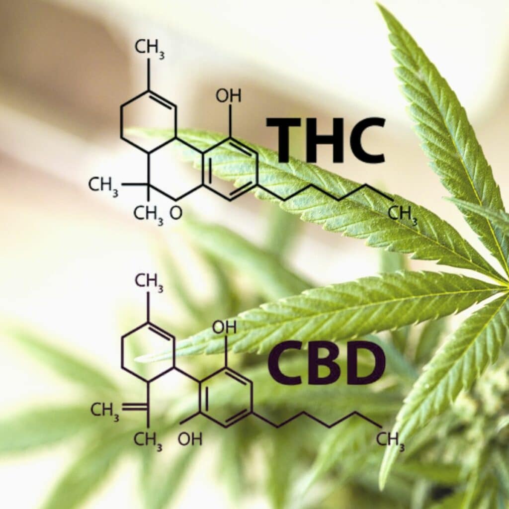 THC CBD | בזלת