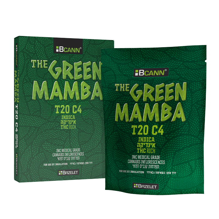 F_bag+box_I-Green-Mamba_no-shade