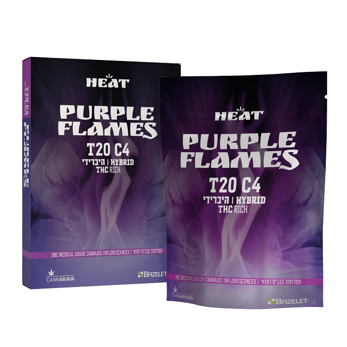 F_bag+box_H-Purple-flames_no-shade