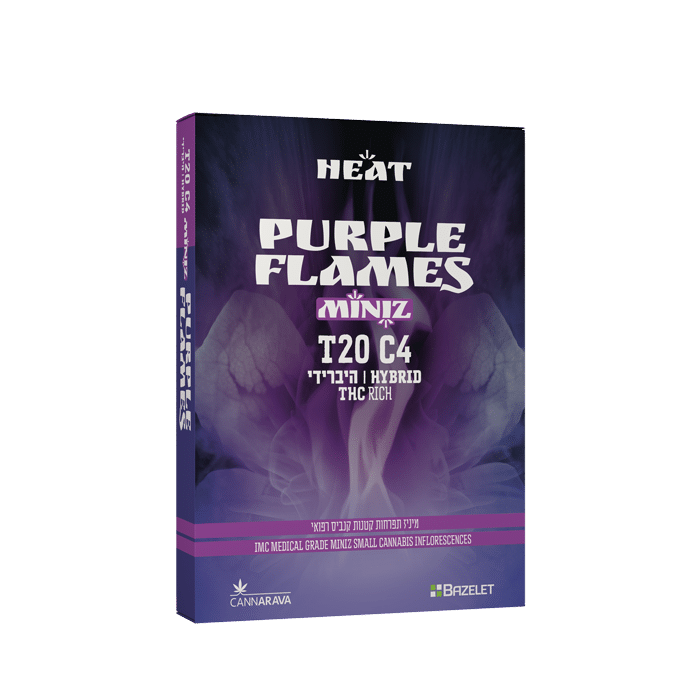 F-box_H-Purple-flames-MINIZ_no-shade