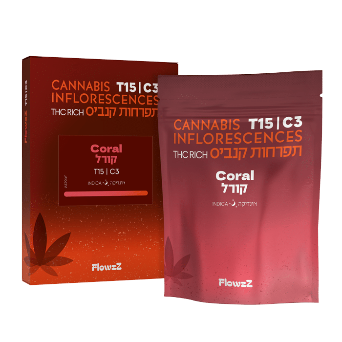 F_bag+box_T15C3_Coral_no-shadow