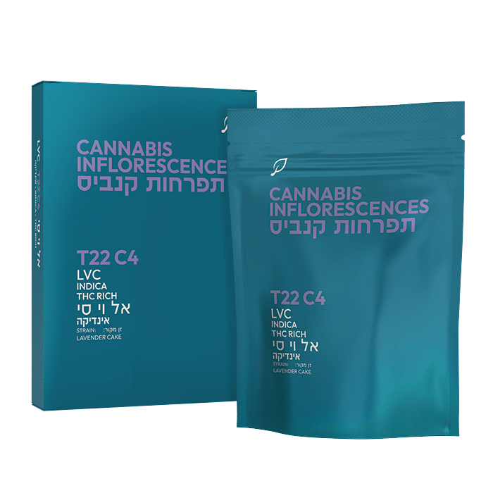 LVC_22-4-indica_noShade