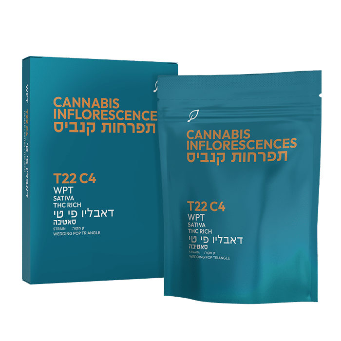 WPT_22-4-sativa_noShade