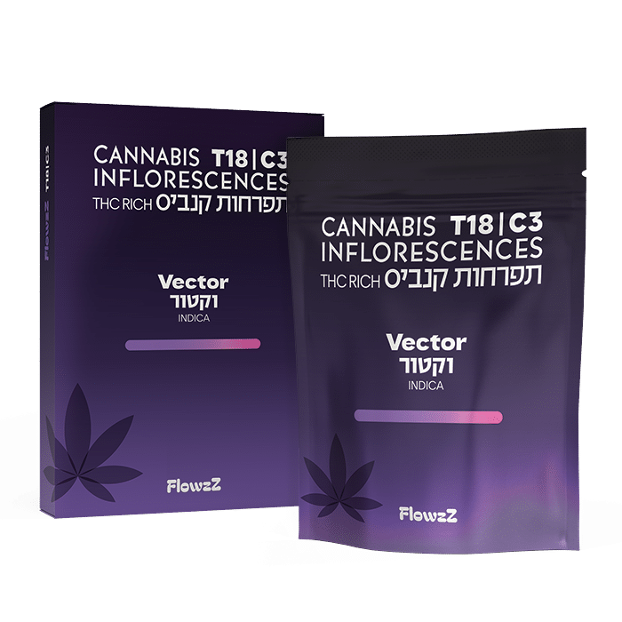 F_bag+box_T18C3_Vector_no-shadow