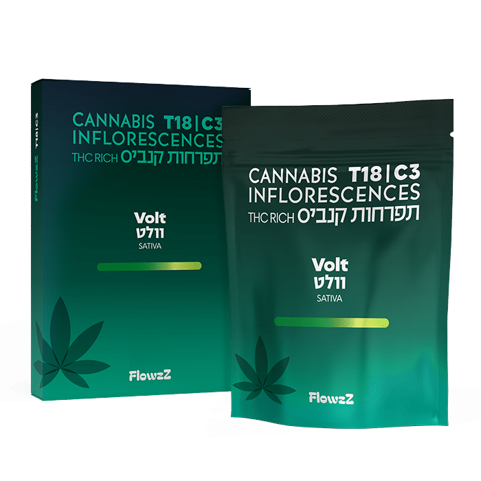 F_bag+box_T18C3_Volt_no-shadow